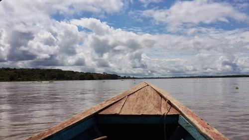 Punto de no retorno en la Amazonía Andina